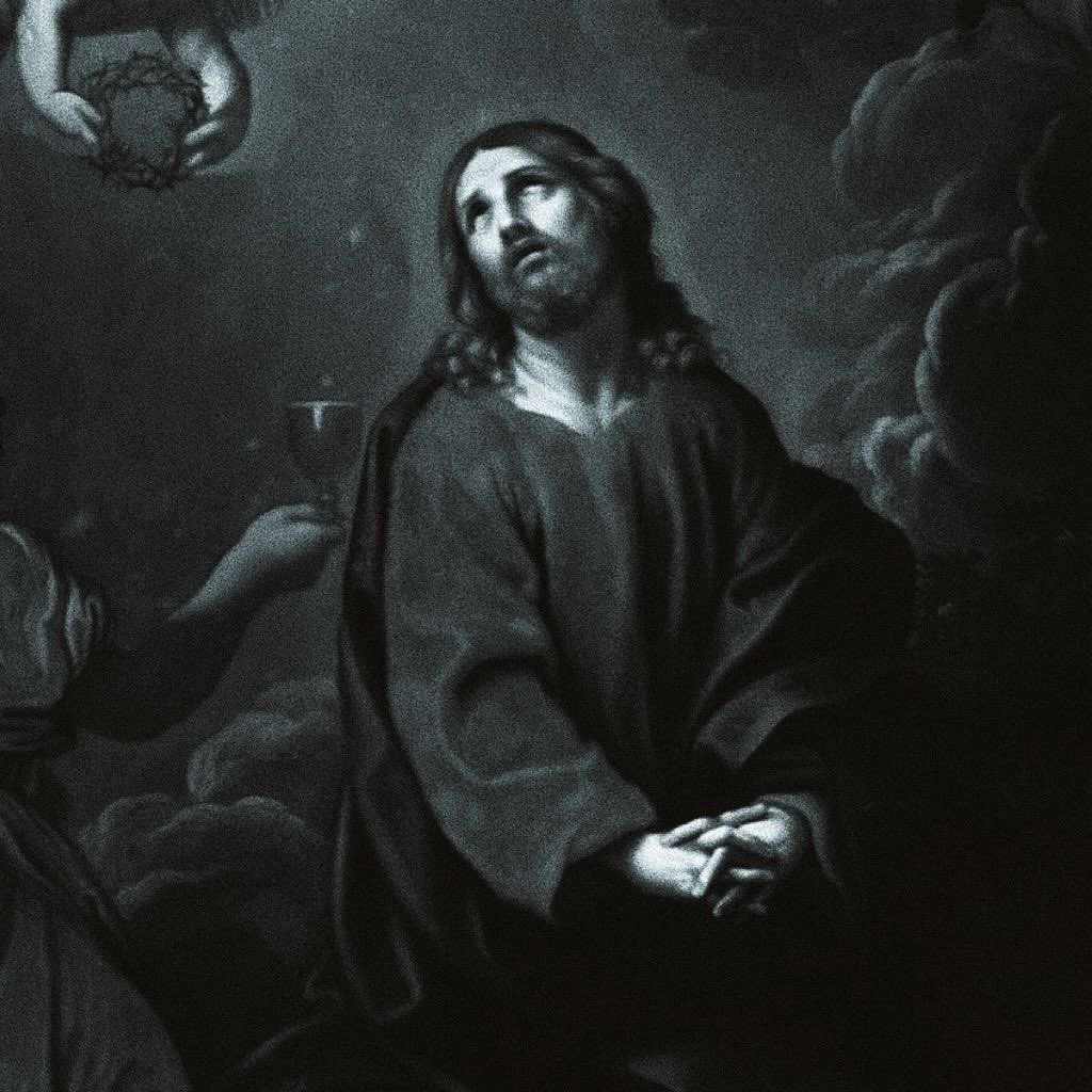 𝔇𝔞𝔫𝔦𝔢𝔩 𝚟𝚜 𝔅𝔞𝔟𝔶𝔩𝔬𝔫 tweet media