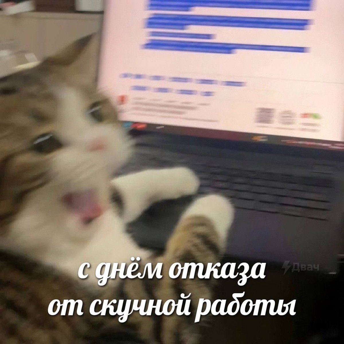 🐾Nadin tweet media