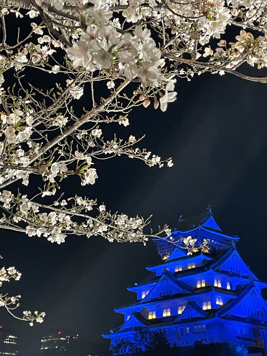 Yoshihiro Sasaki tweet media