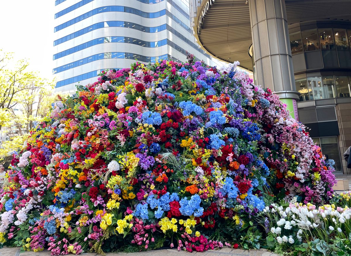 チシャ猫 tweet media