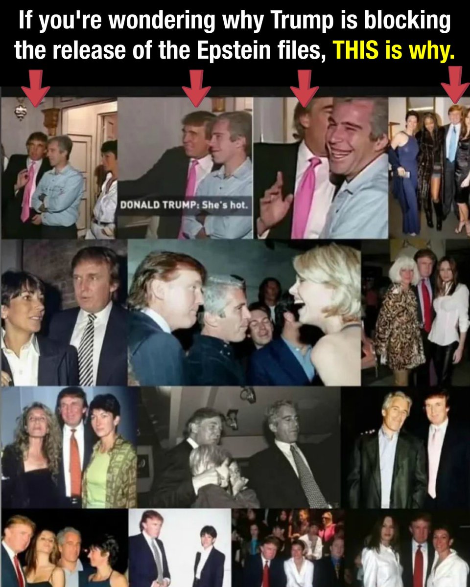 warrenFtLFL 🇺🇸 🏳️‍🌈 tweet media