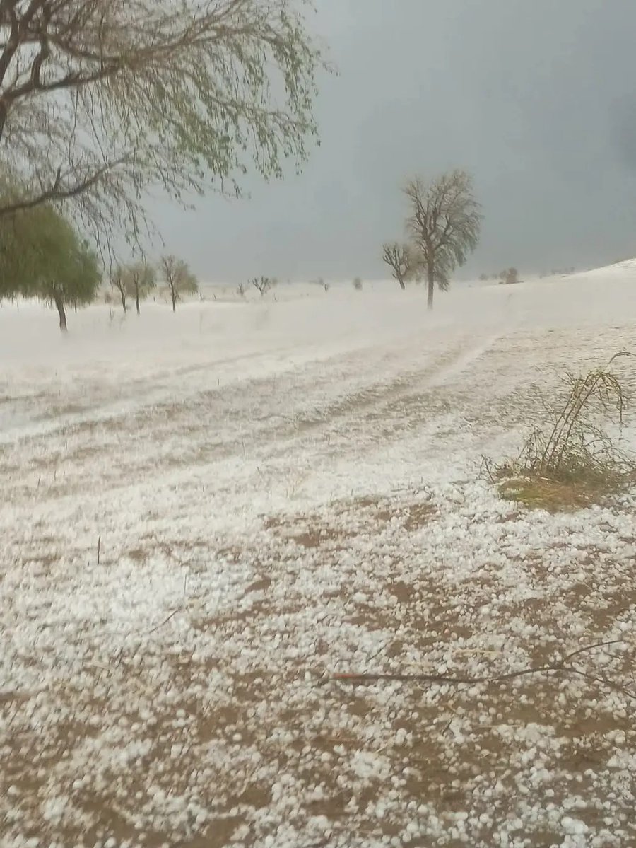 Indraj Babal Suratgarh tweet media