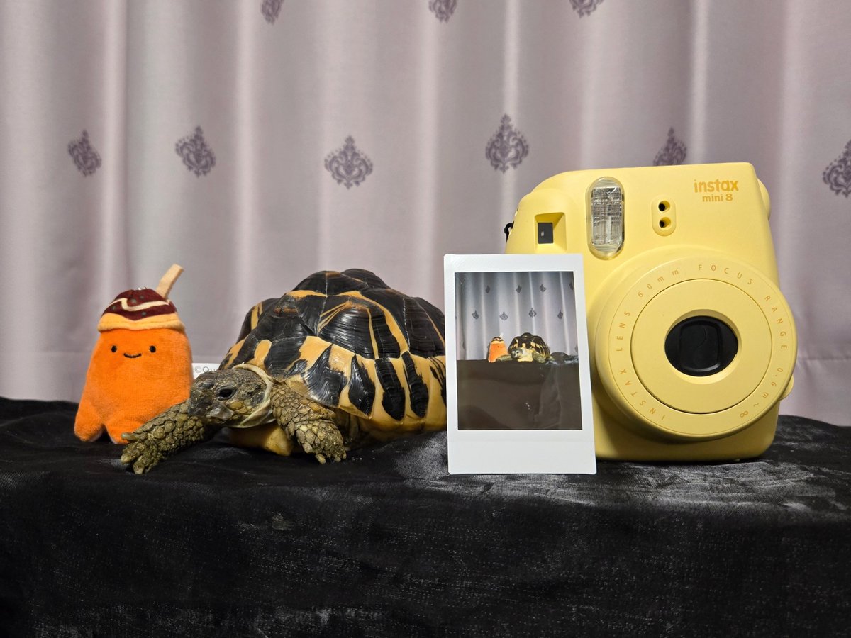 🎀👁️さび🧠🫀出演:0517西九条(大阪)/0705宮原(埼玉) tweet media