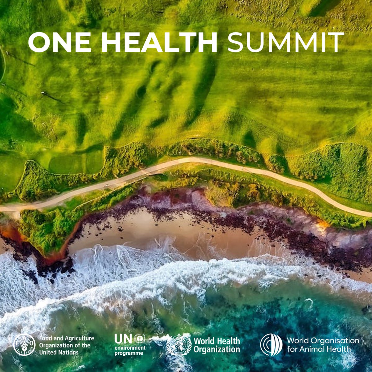 FAOLivestock's tweet image. Transforming agrifood systems is central to preventing future health crises.

Healthy soils, water, ecosystems = healthy people &amp;amp; animals.

#OneHealth starts upstream. 🌱

🔗 bit.ly/4bZf38B

#OneHealthSummit