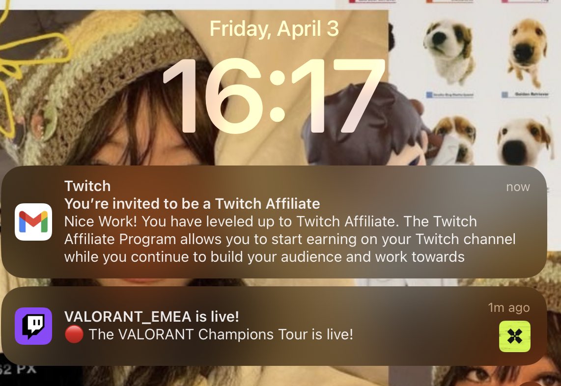 ana 🪷 tweet media