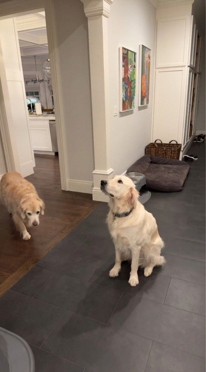 gas station dream girl tweet media