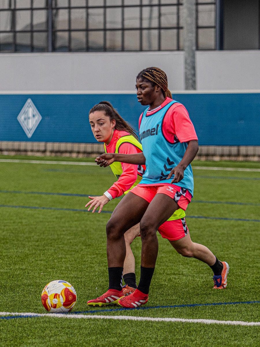 Secció Esportiva AEM tweet media