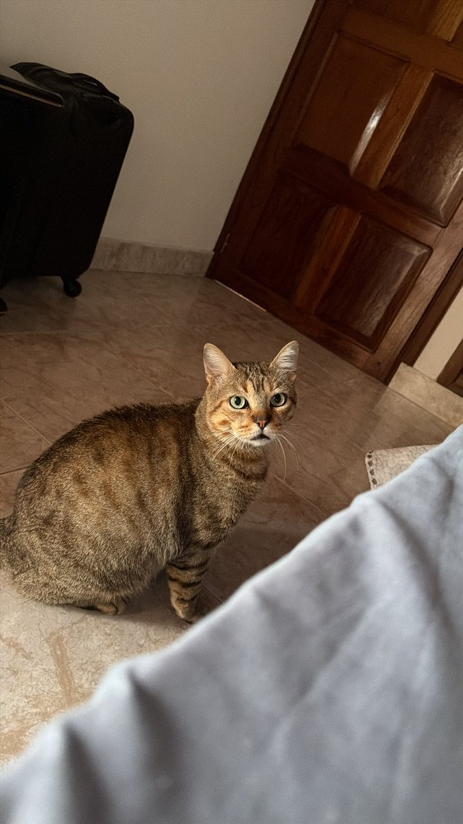 AUGUSTO QUINTERO tweet media