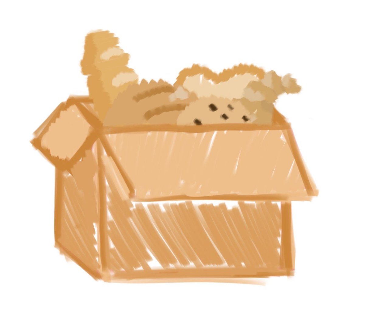 Bread Box tweet media