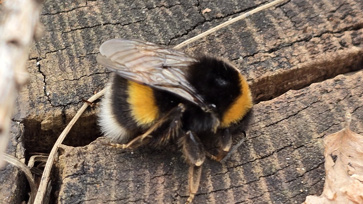 Fabelixx tweet media