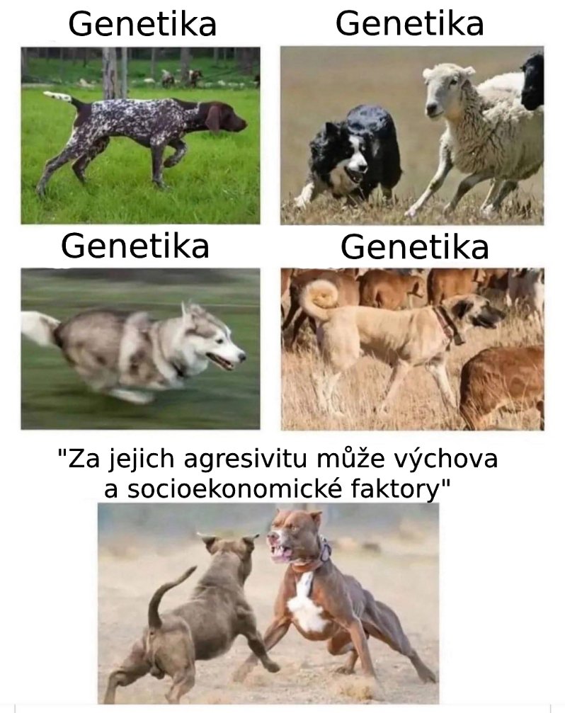 František Vávra tweet media