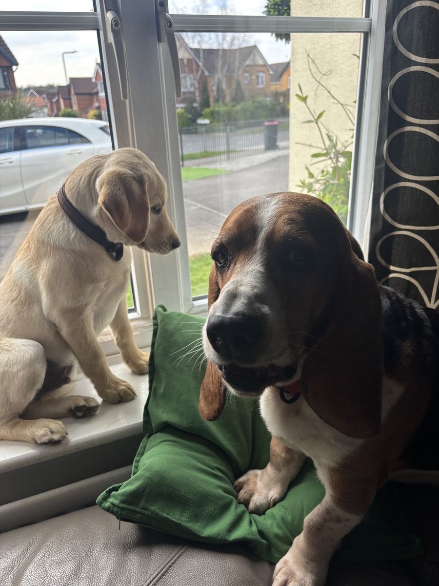 Kate Mary tweet media