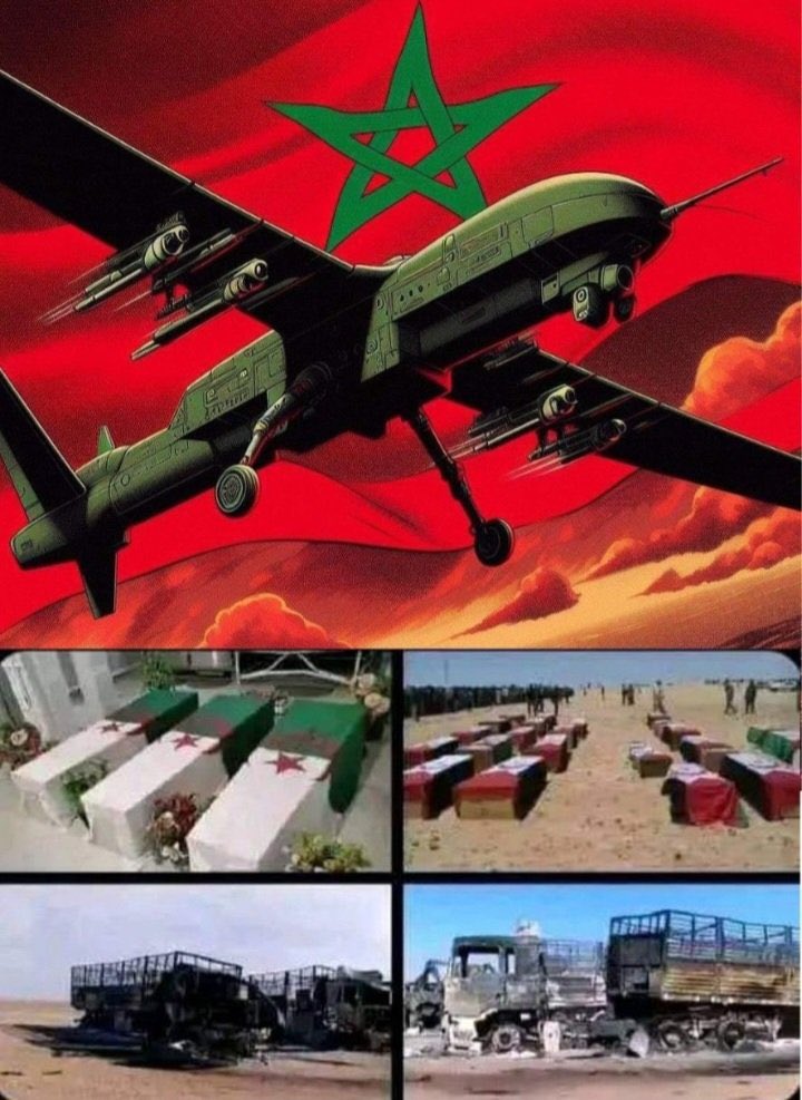 TotoMaghrib tweet media