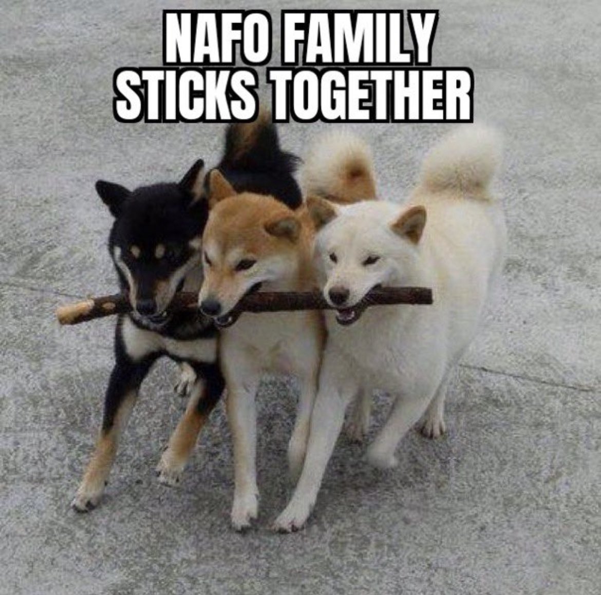 ⚔️ SleuthyFella 🛡️ tweet media