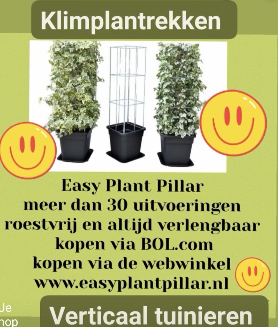 KlimplantenAmsterdam tweet media