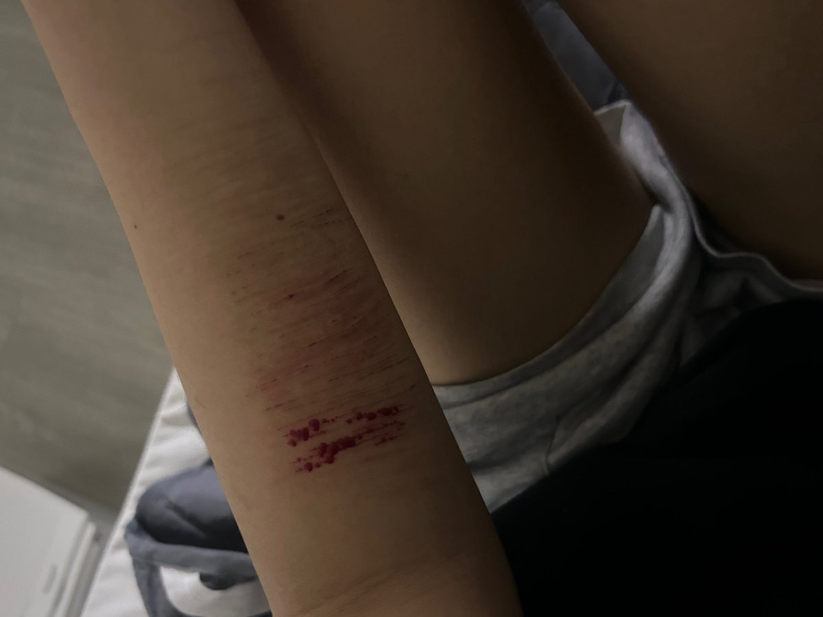 당 ㅌㅊㅅ tweet media