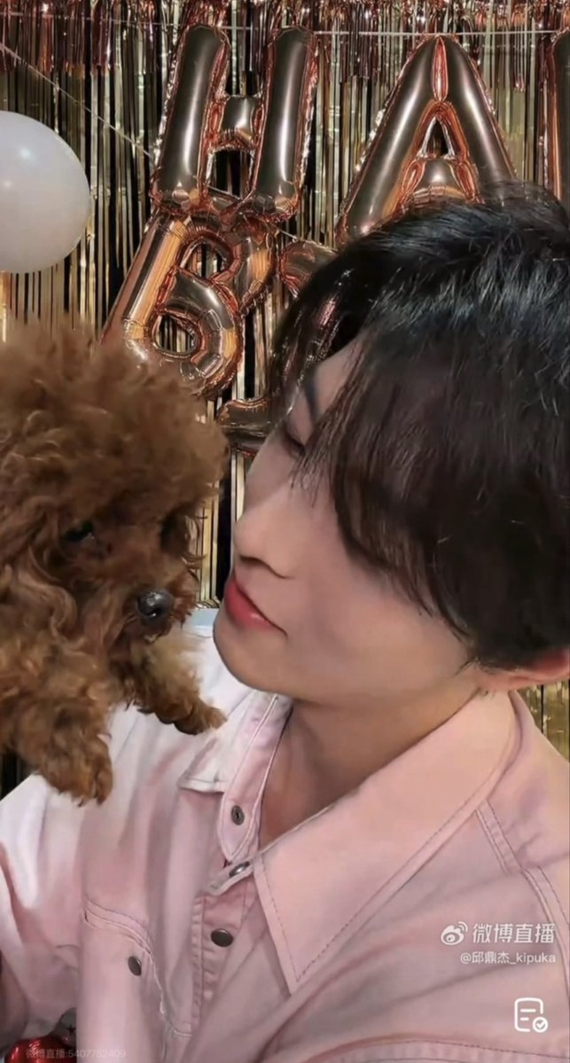 Porpuka~ tweet media