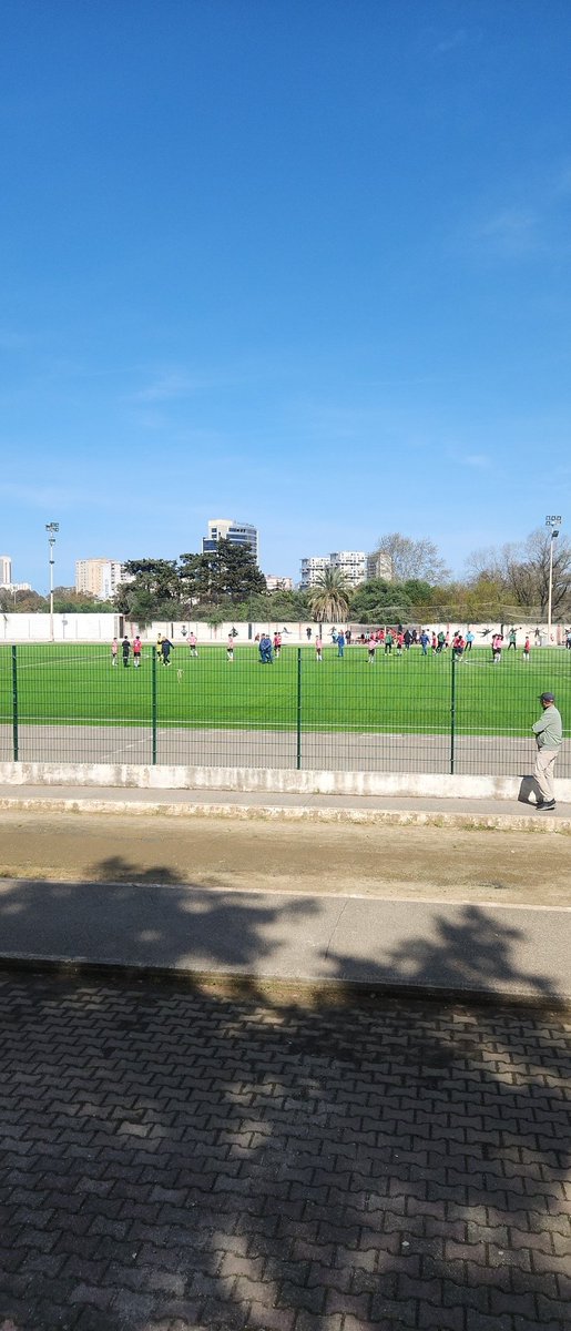 fennecs stars tweet media