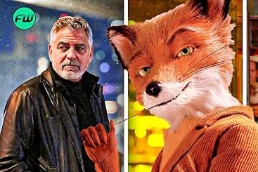 ZoopToopis 🔜 FWA tweet media