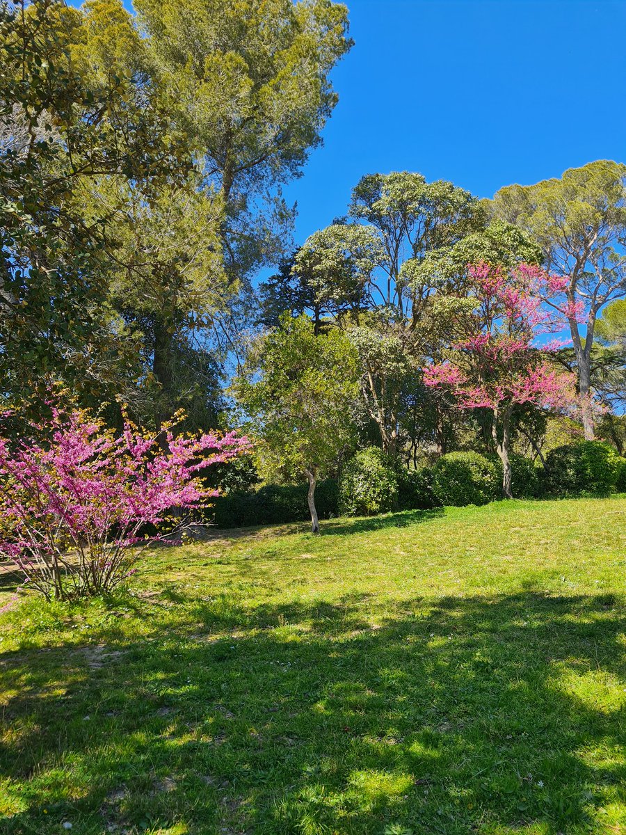 イネス ˚˖𓍢ִ໋🌿˚ tweet media