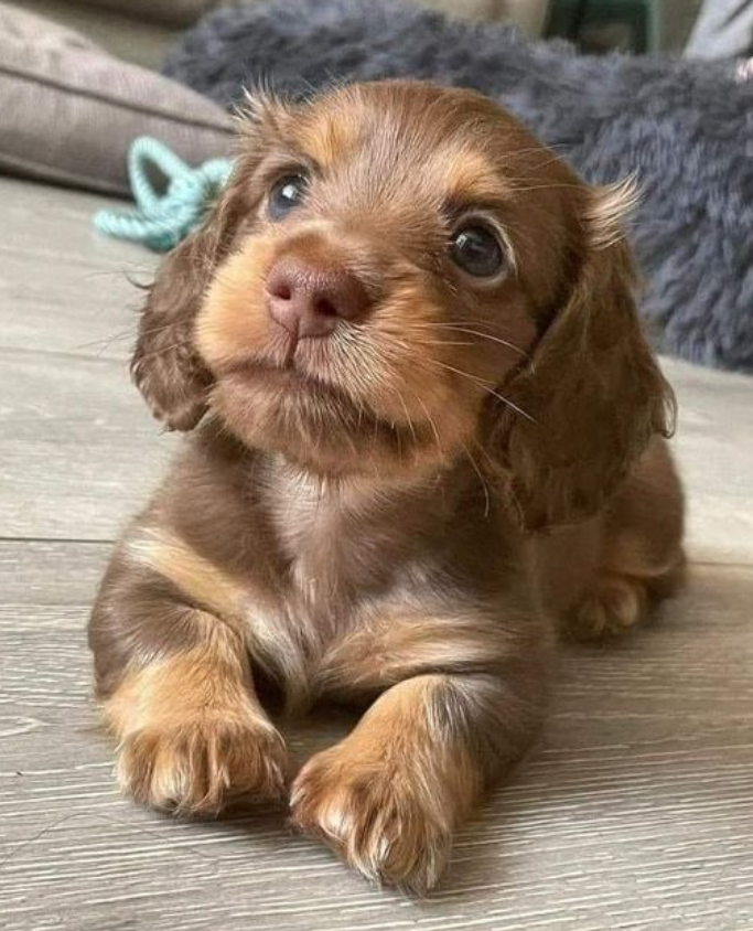 Baby needs a chocolatey name😍😍🤔