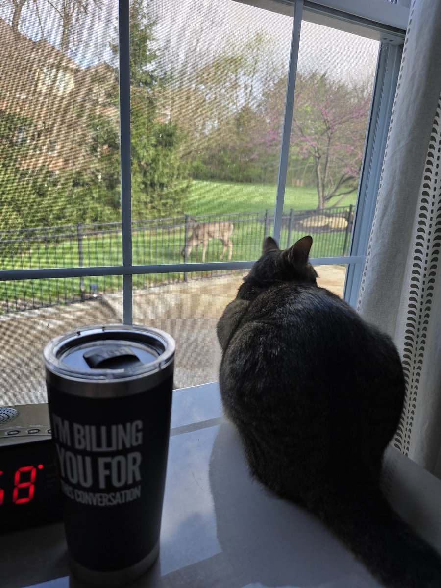 Larry Forman tweet media