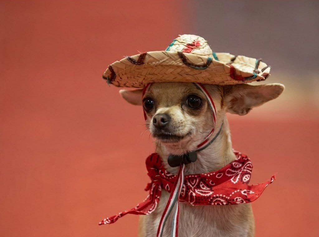 Ray Mond tweet media