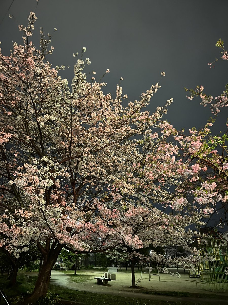 よしよし tweet media