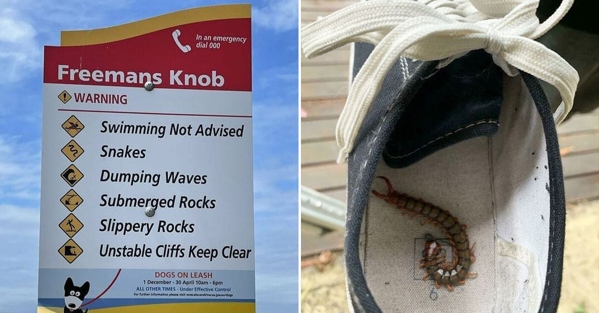 Texts From Last Night tweet media