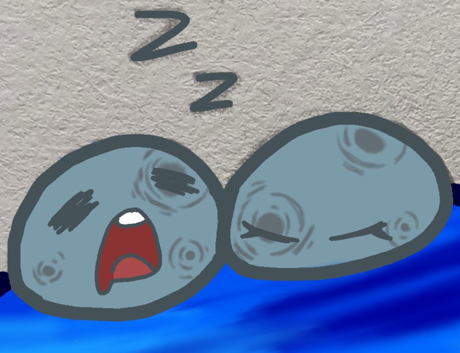 ShapeLeaf tweet media