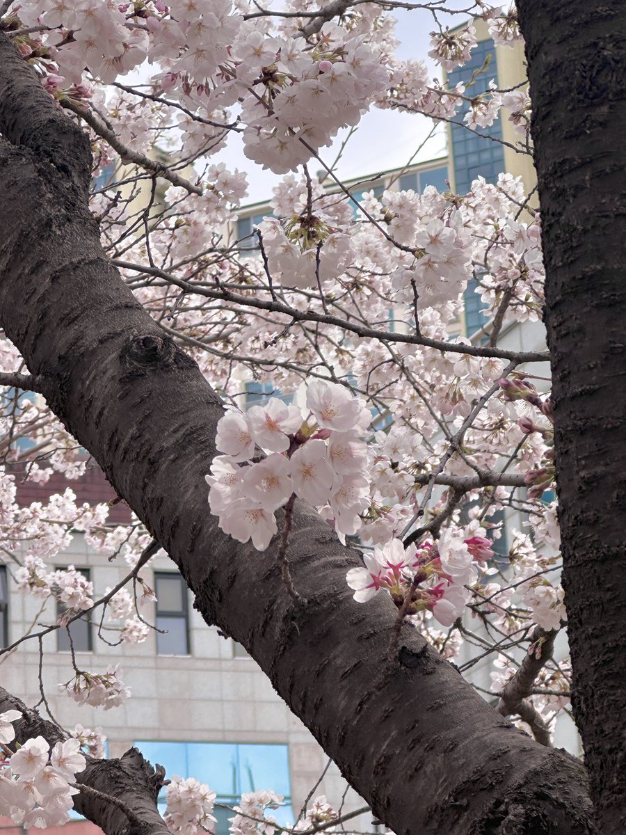puddiiiiling's tweet photo. #일상계트친소

뭐 이런거 좋아합니다 https://t.co/hRVr7aKGKN