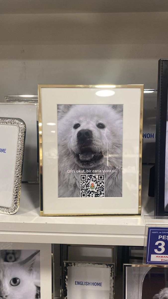 Talha Değil Taha tweet media