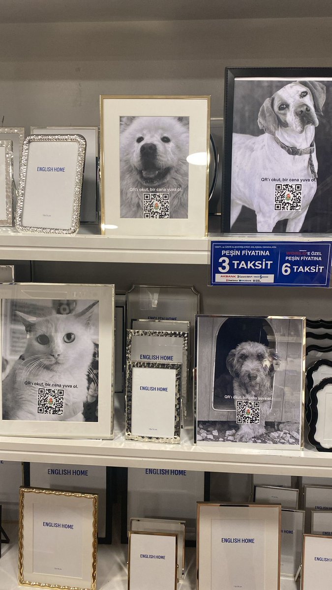 Talha Değil Taha tweet media