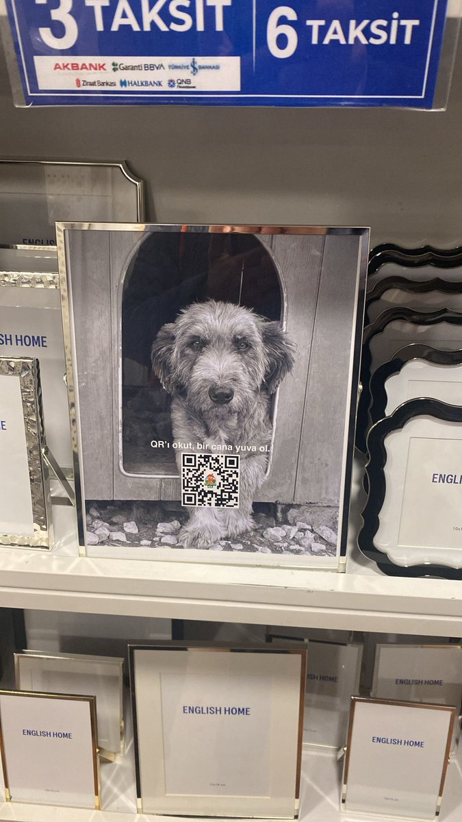 Talha Değil Taha tweet media