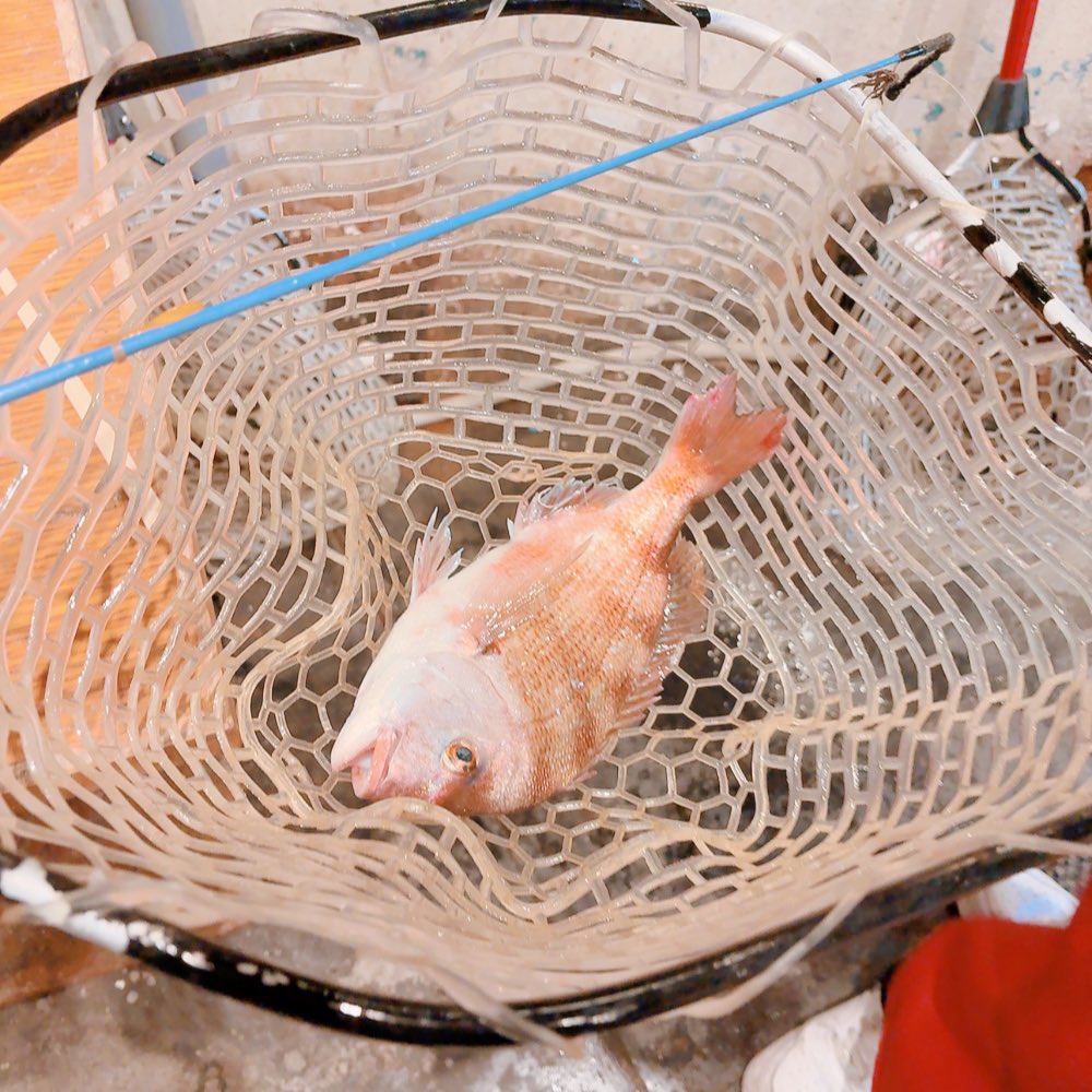 체리코 CHERIKO🌸🍒 tweet media