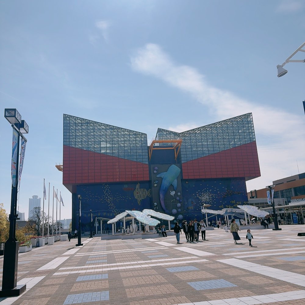 체리코 CHERIKO🌸🍒 tweet media