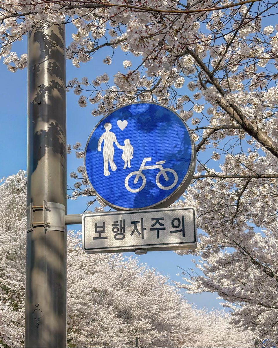 hello dongwon tweet media