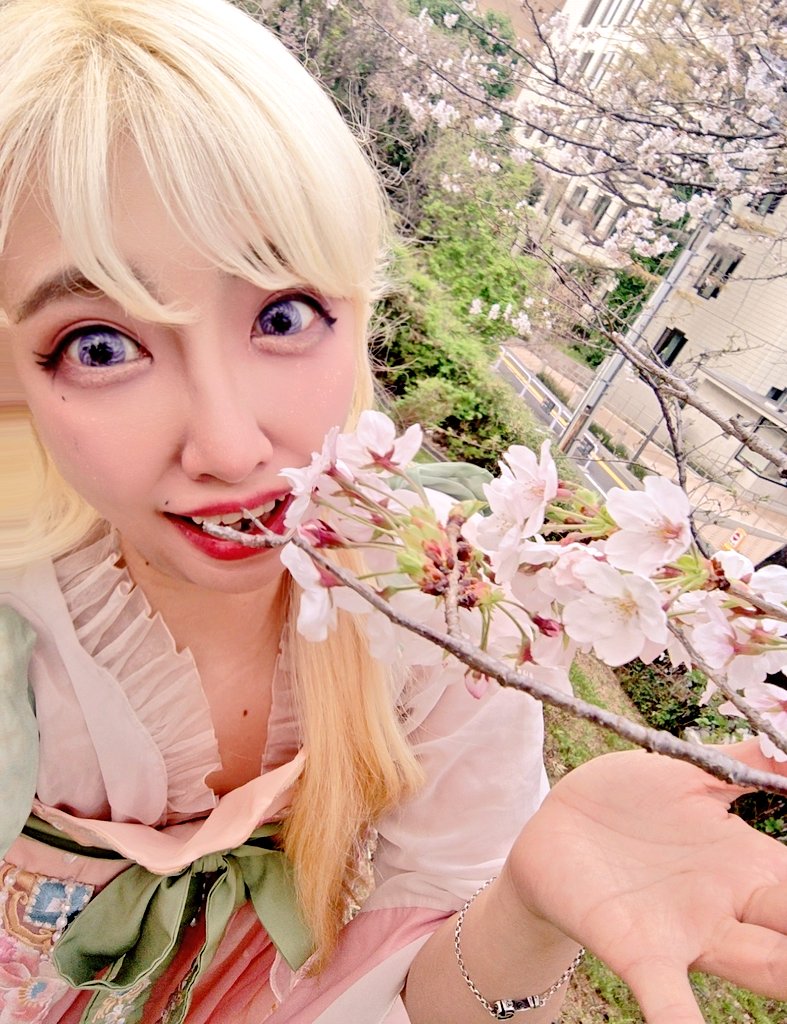 Momoka Kagamiya｜Apr23高円寺｜25&26新宿｜29四谷｜May3＆4大阪｜5池袋 tweet media