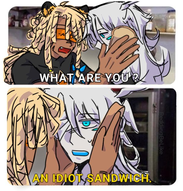 プロイ🔑🌙 tweet media