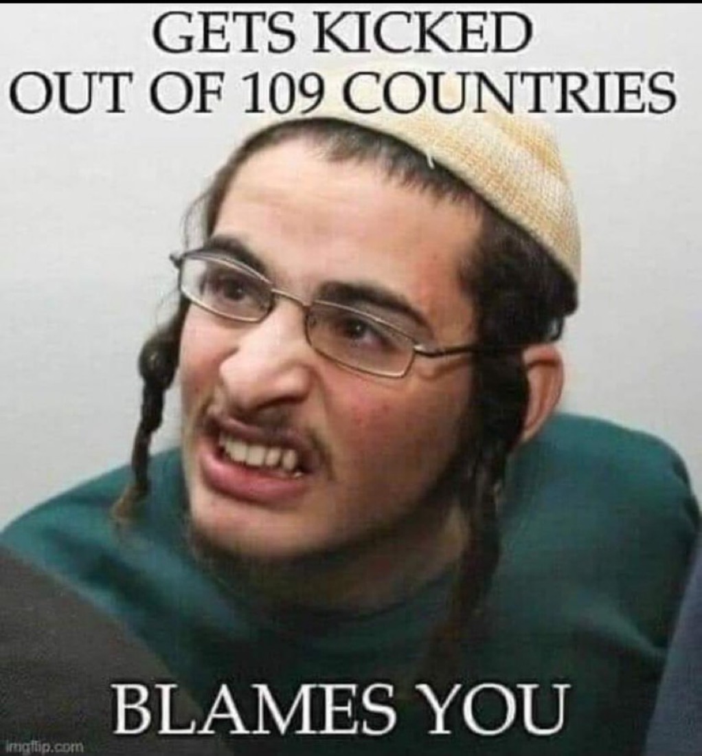 funnybunny🇵🇸🍉🇮🇪🦅 tweet media