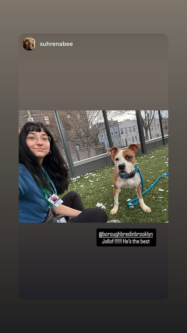 NMBewitched's tweet image. #FridayFirstClass 
#GoodFriday 
#AdoptionisaPassion 
#Friyay

Jollof🥰😇😍
#PuppyLove is only 9mos &amp;amp; he is a Rockstar😎🎶🎸

#AdoptMe