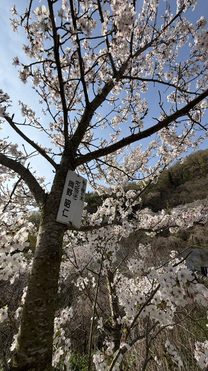 ∠ひさこ🐝水浴び7/8オーラス🚿🫧 tweet media