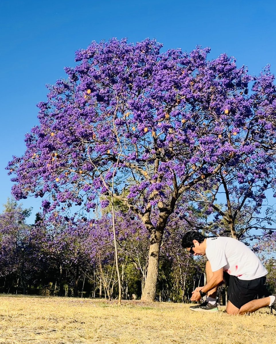 ℕ𝕠é 𝔾𝕒𝕣𝕔í𝕒 𝔾 ♕💡 tweet media