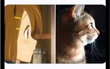 Literally Who? tweet media