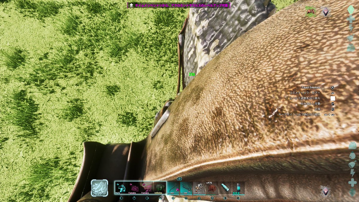 ほたるいか/HotaruIka tweet media