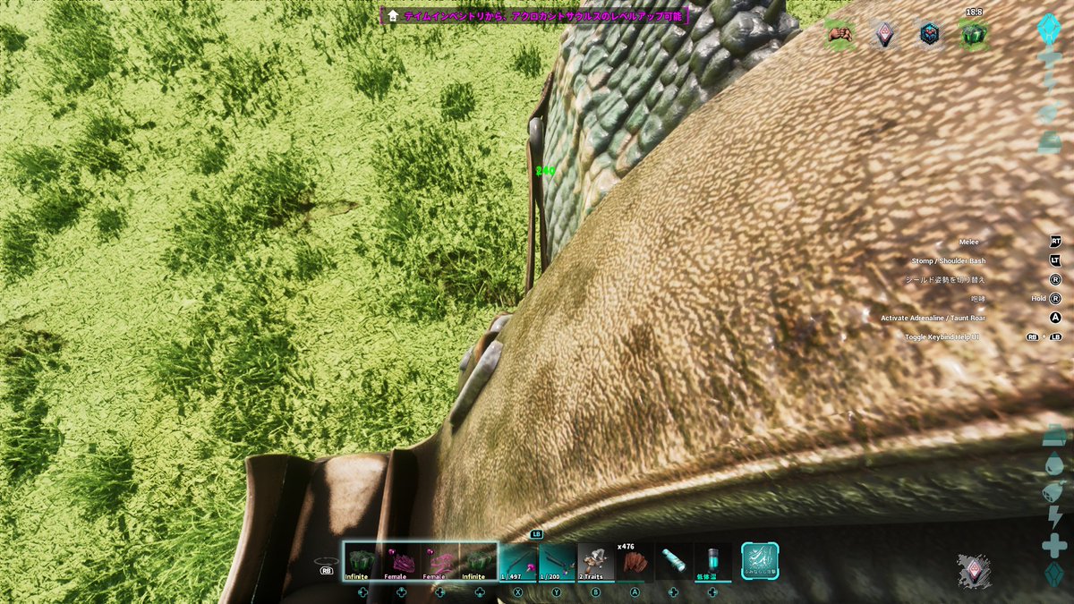 ほたるいか/HotaruIka tweet media