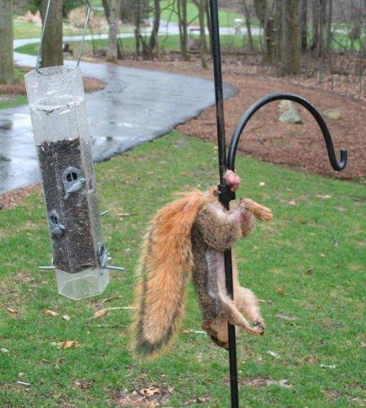 𝔸ℝ𝕌𝕊𝔸𝕌ℝ𝕌𝕊 🦖 tweet media