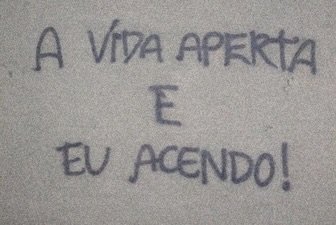 SpaceCannabis 🍃 tweet media