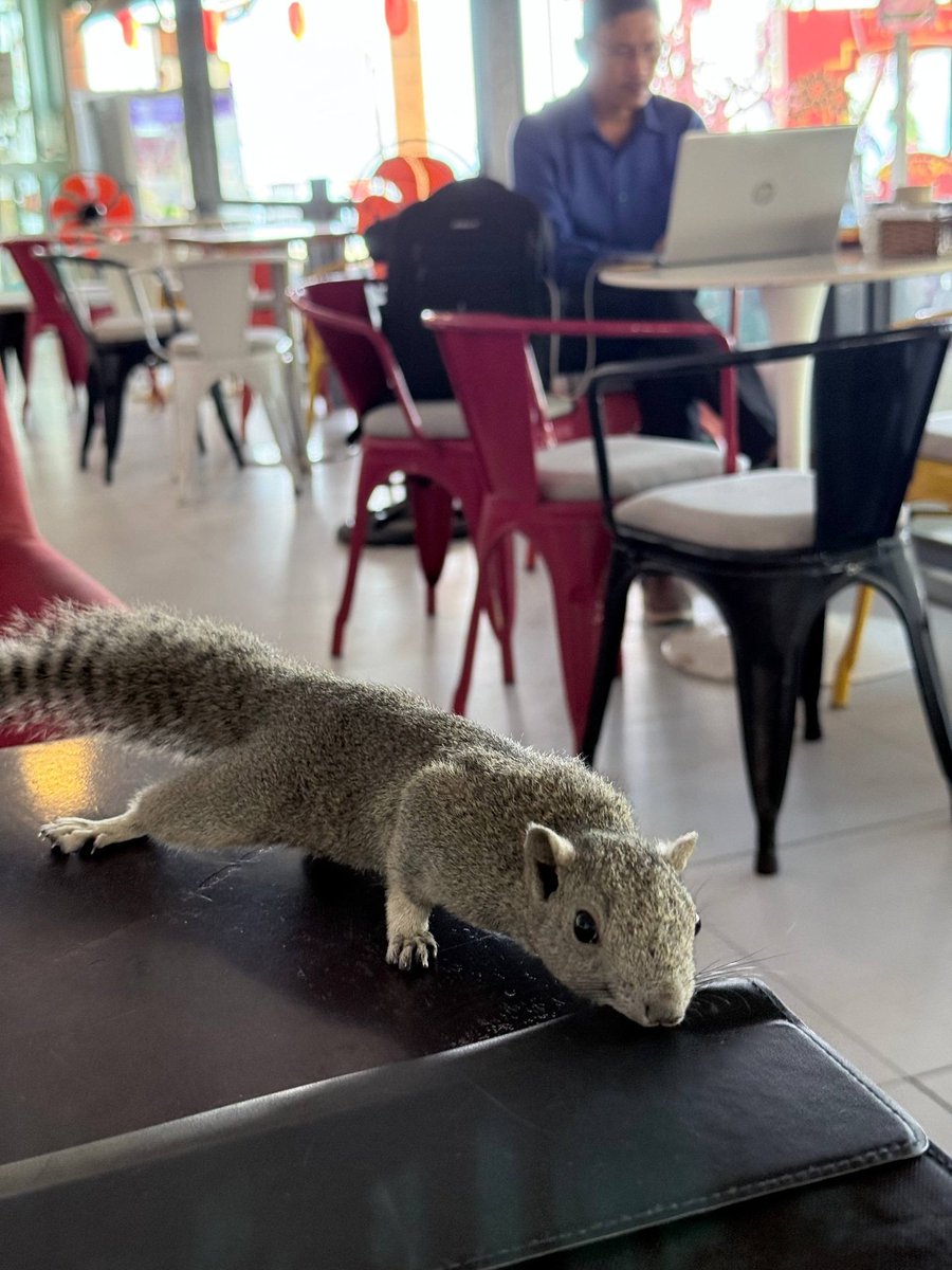 Danny Daily Note tweet media