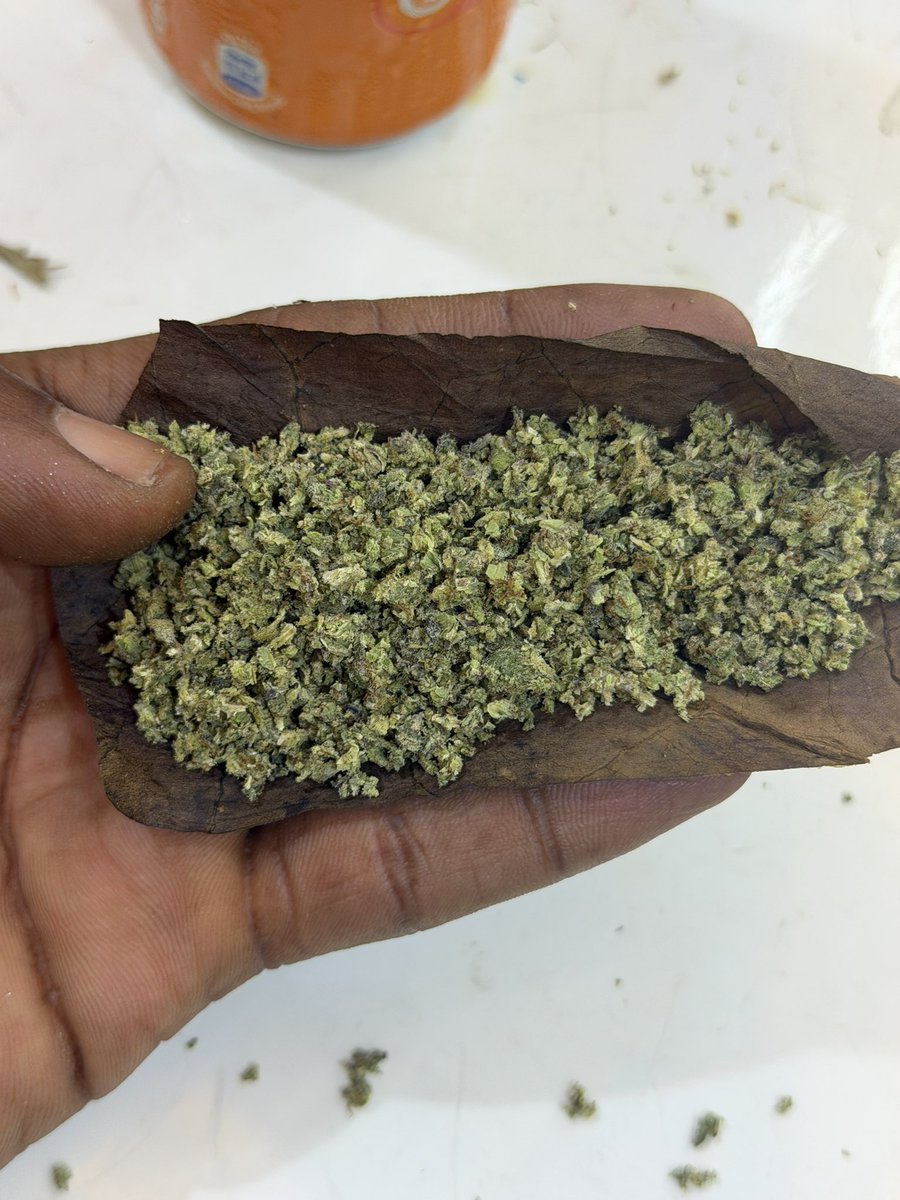 HARD BRAIN 🧠 STRAIN 🌳 tweet media